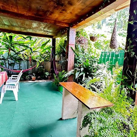 Natural Experience House トルトゥゲーロ エクステリア 写真