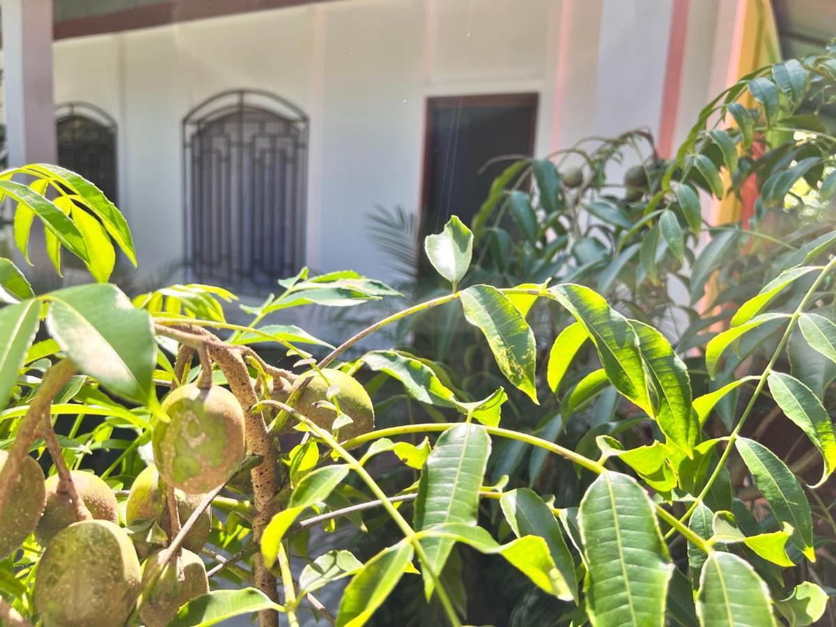 Natural Experience House トルトゥゲーロ エクステリア 写真