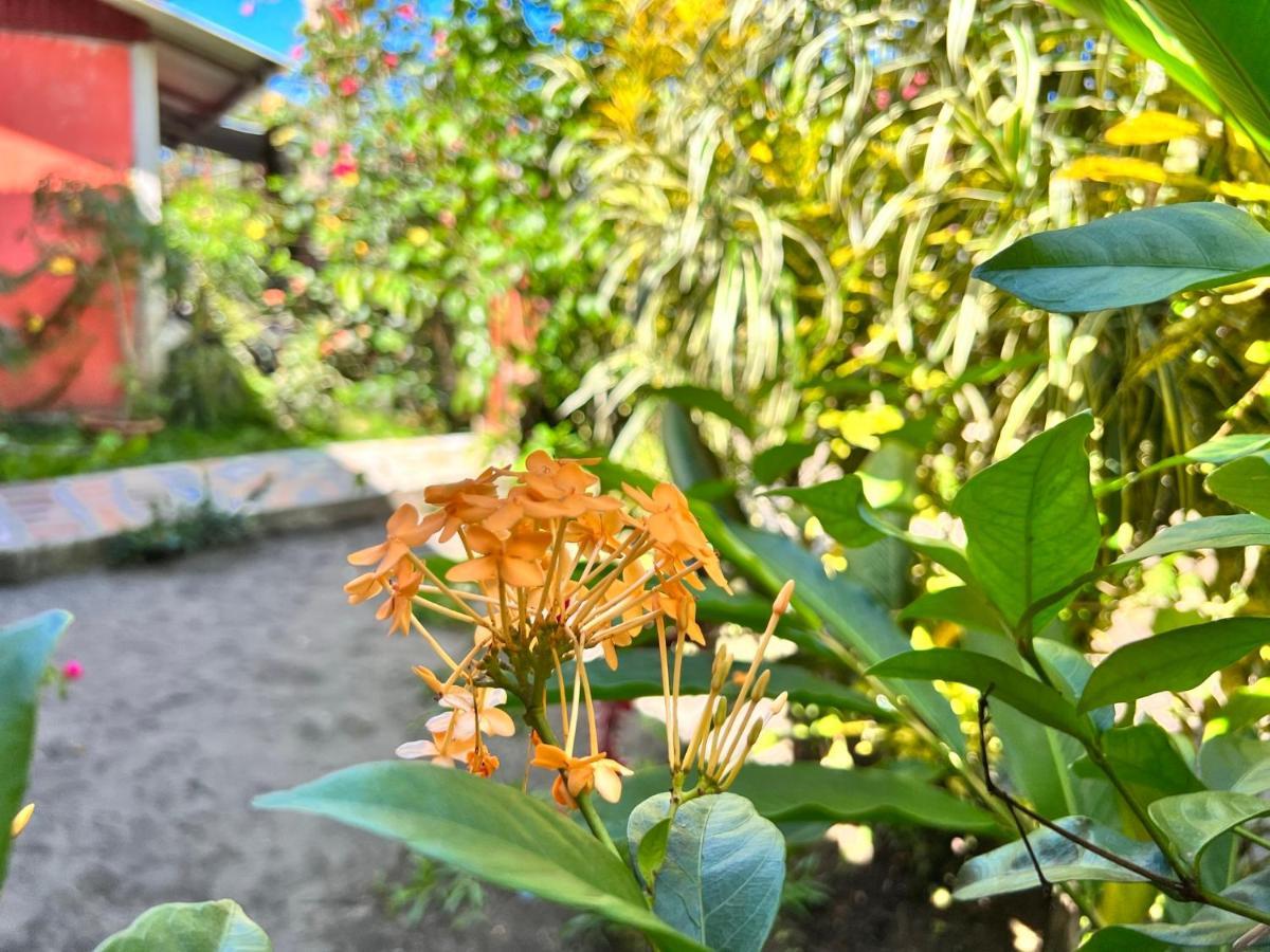 Natural Experience House トルトゥゲーロ エクステリア 写真