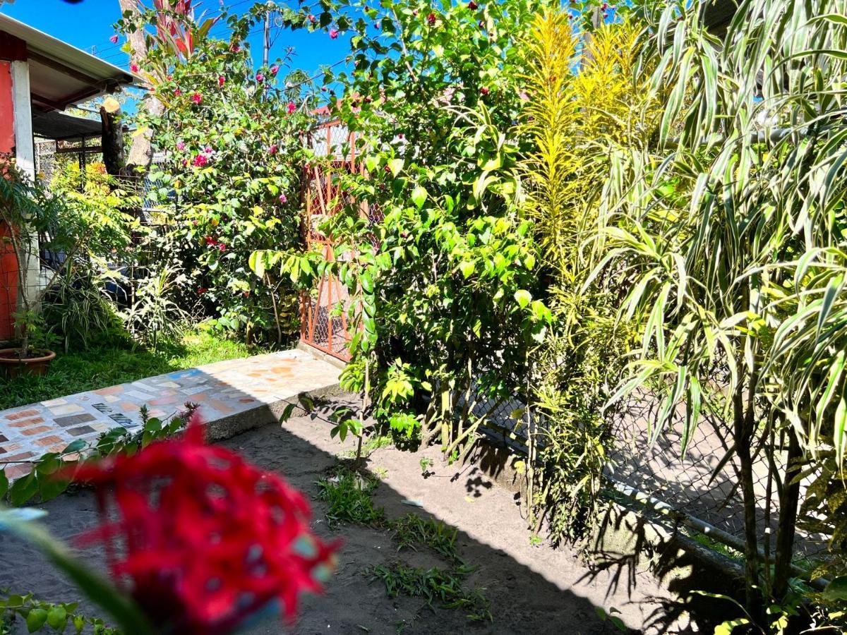 Natural Experience House トルトゥゲーロ エクステリア 写真