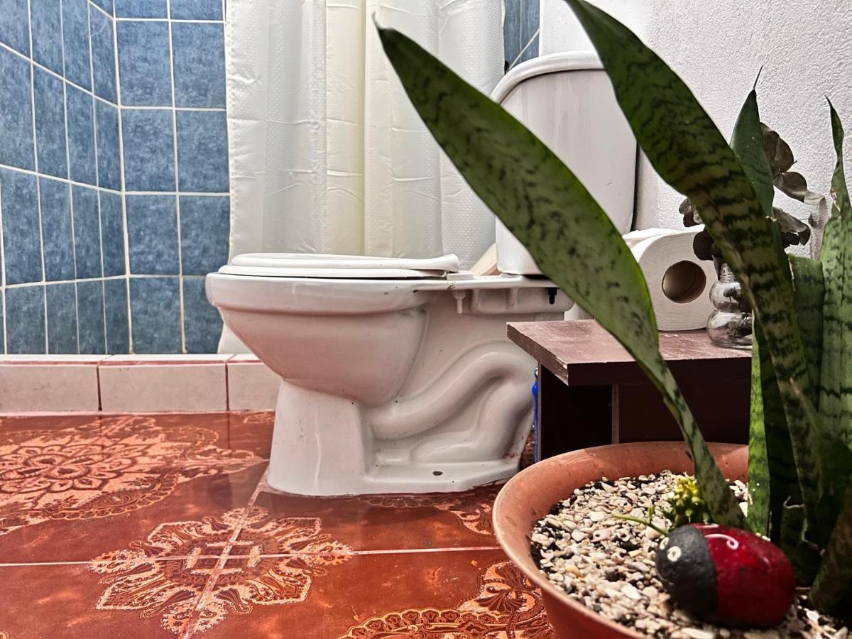 Natural Experience House トルトゥゲーロ エクステリア 写真